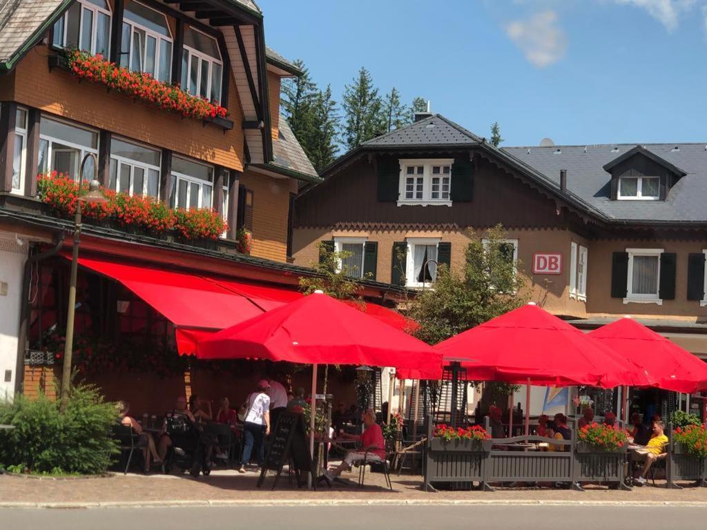 Hotel Schwarzwaldhof Hinterzarten Kültér fotó