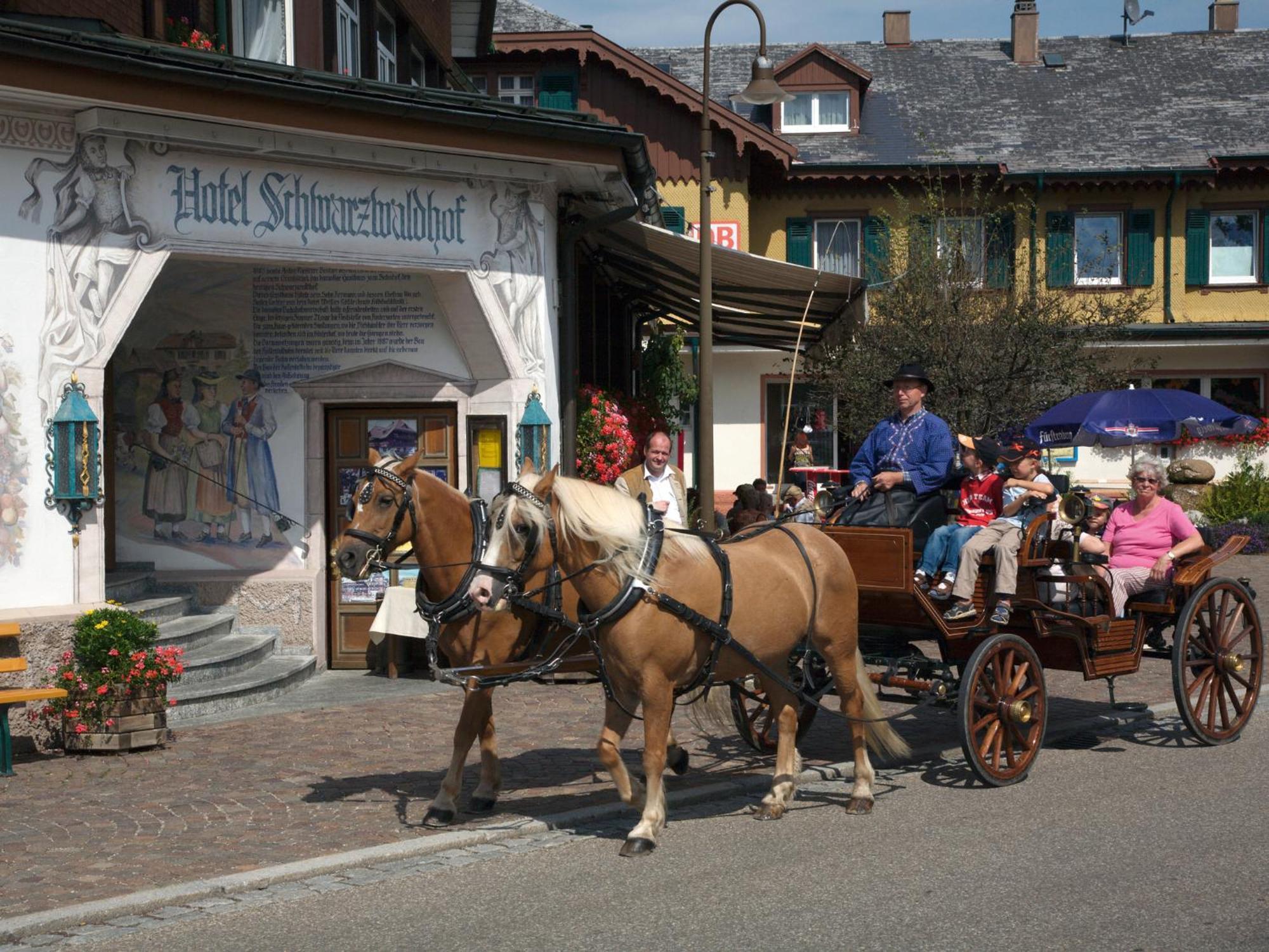 Hotel Schwarzwaldhof Hinterzarten Kültér fotó